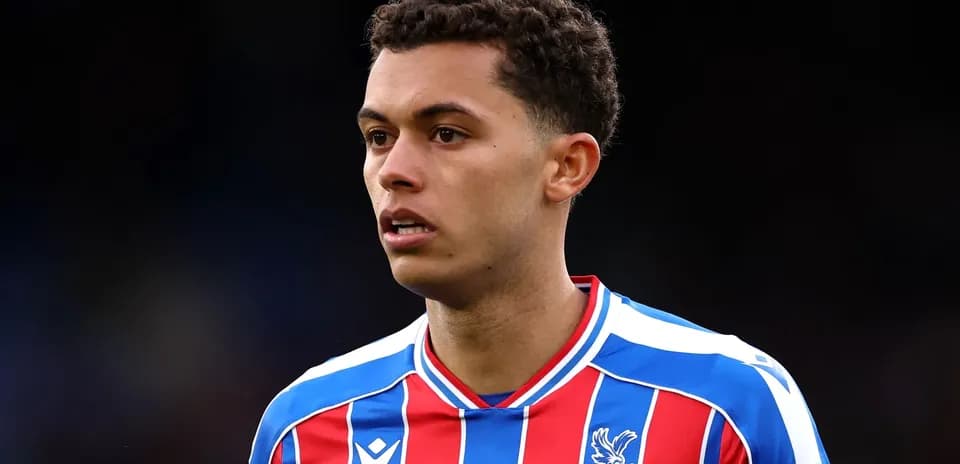 Игрок в форме Crystal Palace на поле