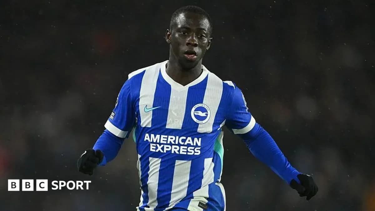 Игрок Brighton в синей форме на поле Игрок Brighton в синей форме на поле