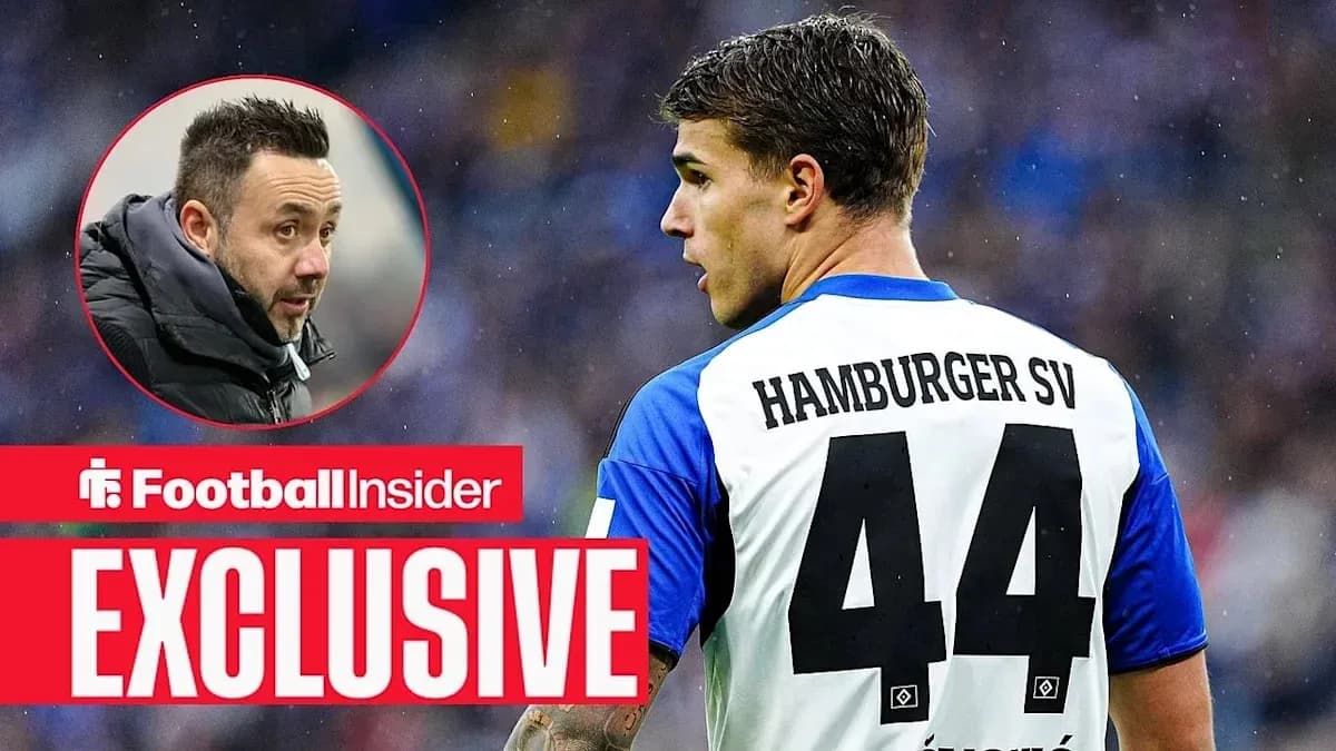 Игрок Hamburger SV с номером 44 на поле Игрок Hamburger SV с номером 44 на поле